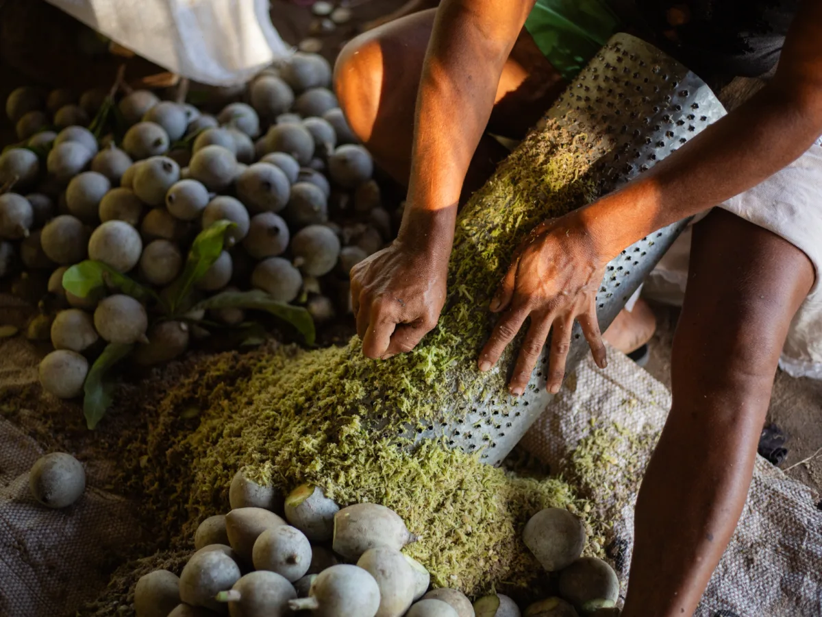 Mapa da Mina: Mulheres de territórios em disputa